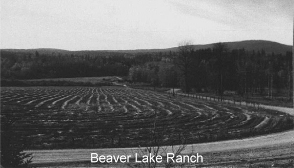 Beaver Lake Farm